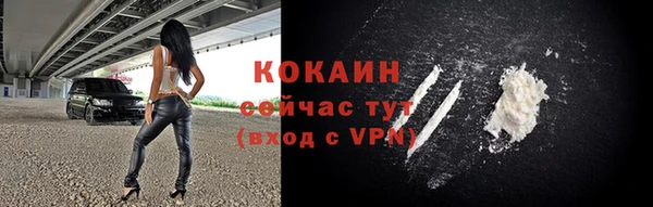 индика Богданович