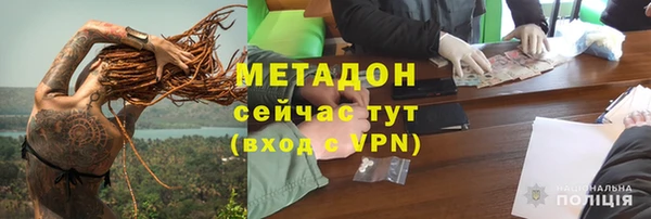 индика Богданович
