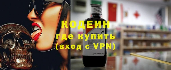 индика Богданович