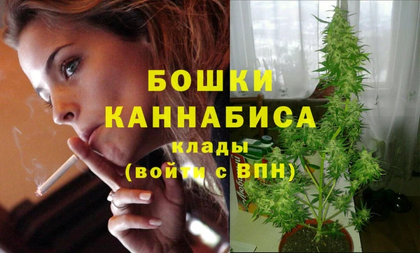 твердый Богородск