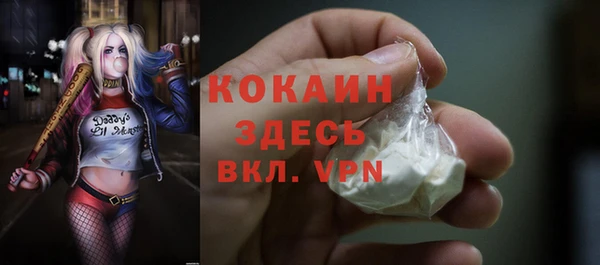 твердый Богородск