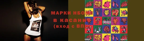 индика Богданович
