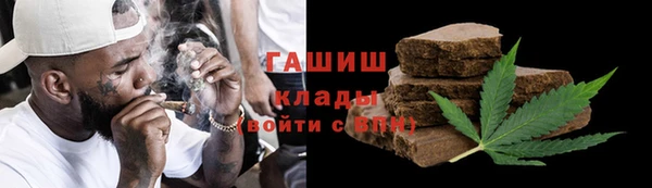 индика Богданович