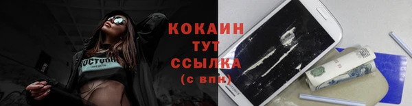 индика Богданович