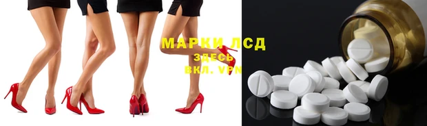 индика Богданович