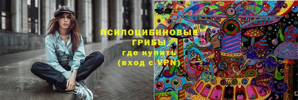 марки lsd Богородицк