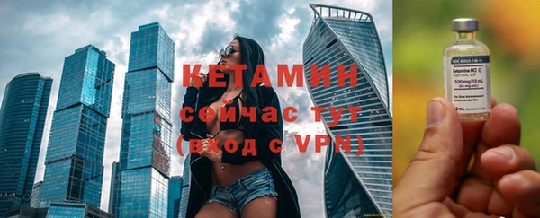 индика Богданович