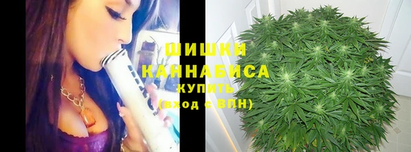 индика Богданович