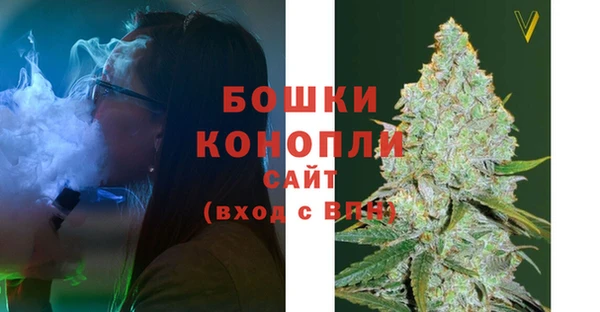 индика Богданович
