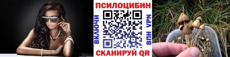 Псилоцибиновые грибы мицелий  Павловск 
